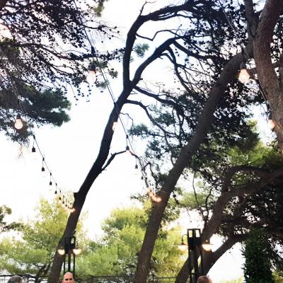 20200807 185941 Edited